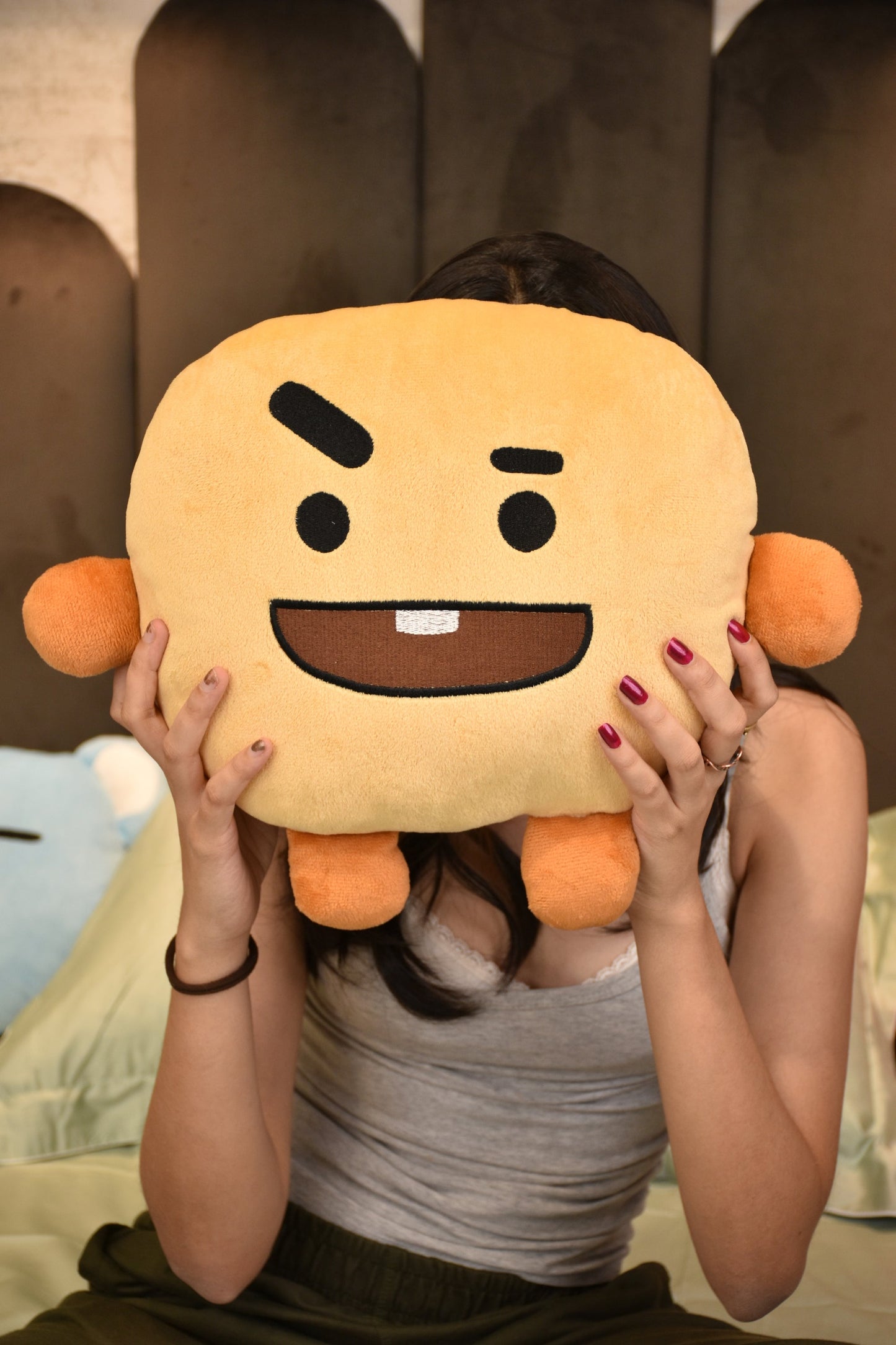 BT21 Shooky Themed Cushion