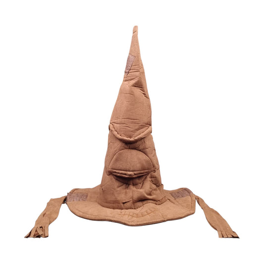 Harry Potter Hat